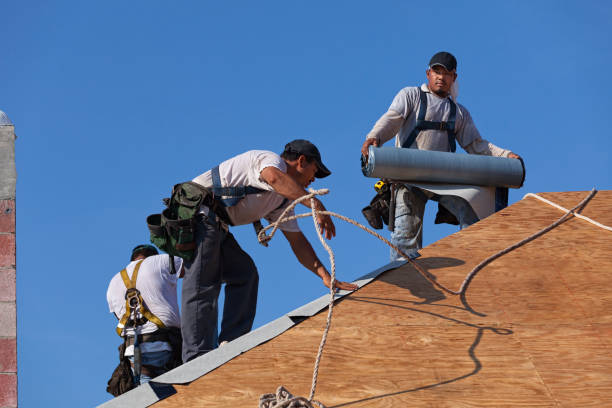 Best Best Roofing Contractors  in Trenton, IL