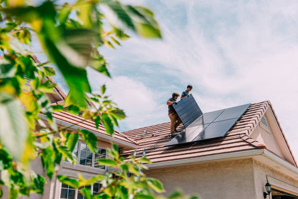 Best Roof Gutter Cleaning  in Trenton, IL