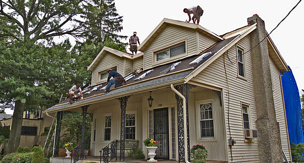 Best Slate Roofing Contractor  in Trenton, IL