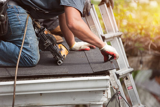 Best Commercial Roofing Services  in Trenton, IL