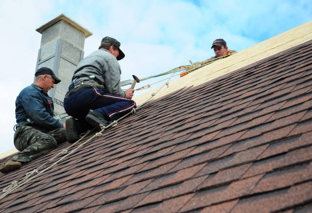 Best Residential Roofing Contractor  in Trenton, IL