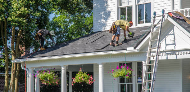 Best Local Roofing Companies  in Trenton, IL