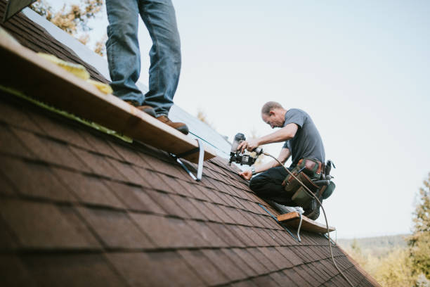 Best Flat Roof Repair Services  in Trenton, IL
